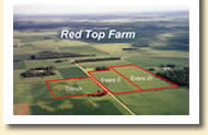 red top farm 