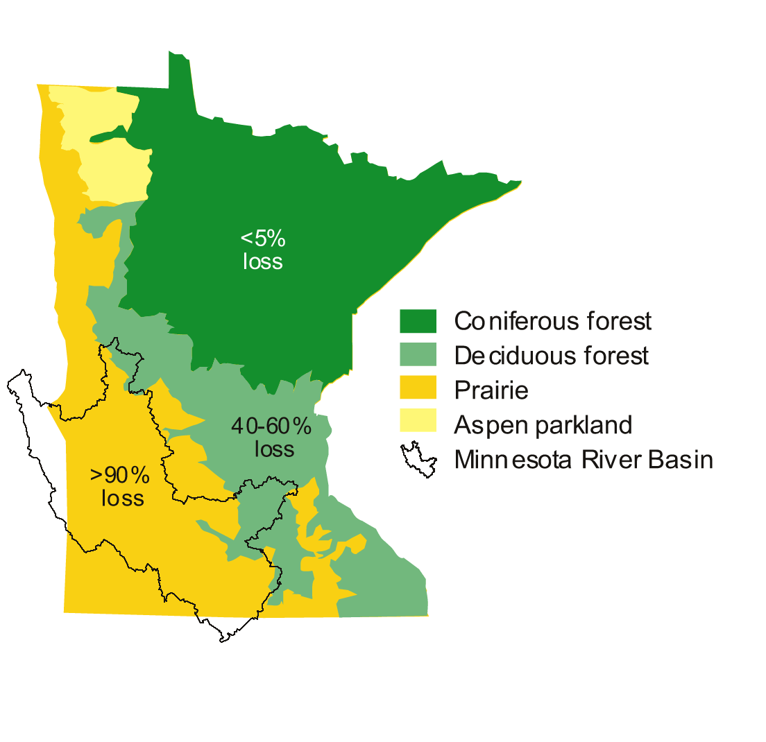 wetlands-in-the-minnesota-river-basin-minnesota-river-basin-data-center