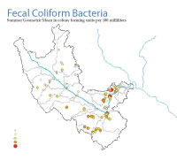 Fecal coliform Bacteria Map