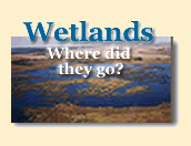 wetlands - where did they go?