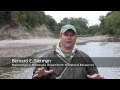 What is the current status of mussels in the Minnesota River Basin?