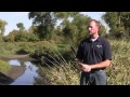 Beaver Creek Water Quality Success Story Overview)