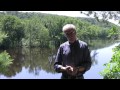 What are the top three water quality problems in the Minnesota River Basin? (Dan Engstrom)
