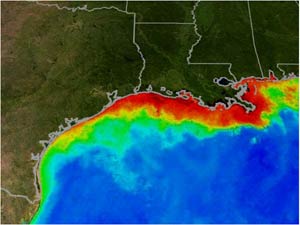 Gulf of Mexico hypoxia zone